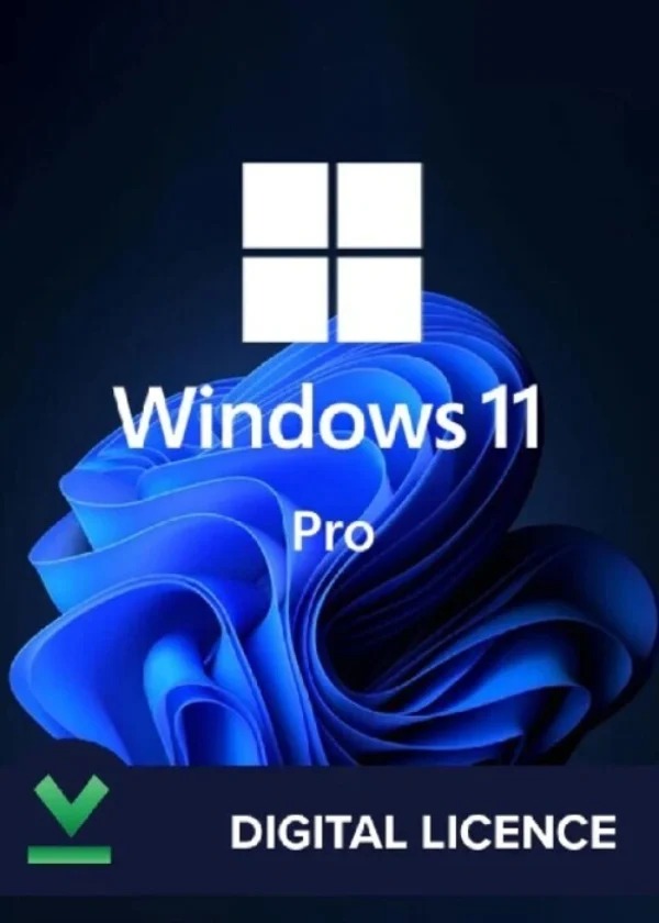 Windows 11 Professional