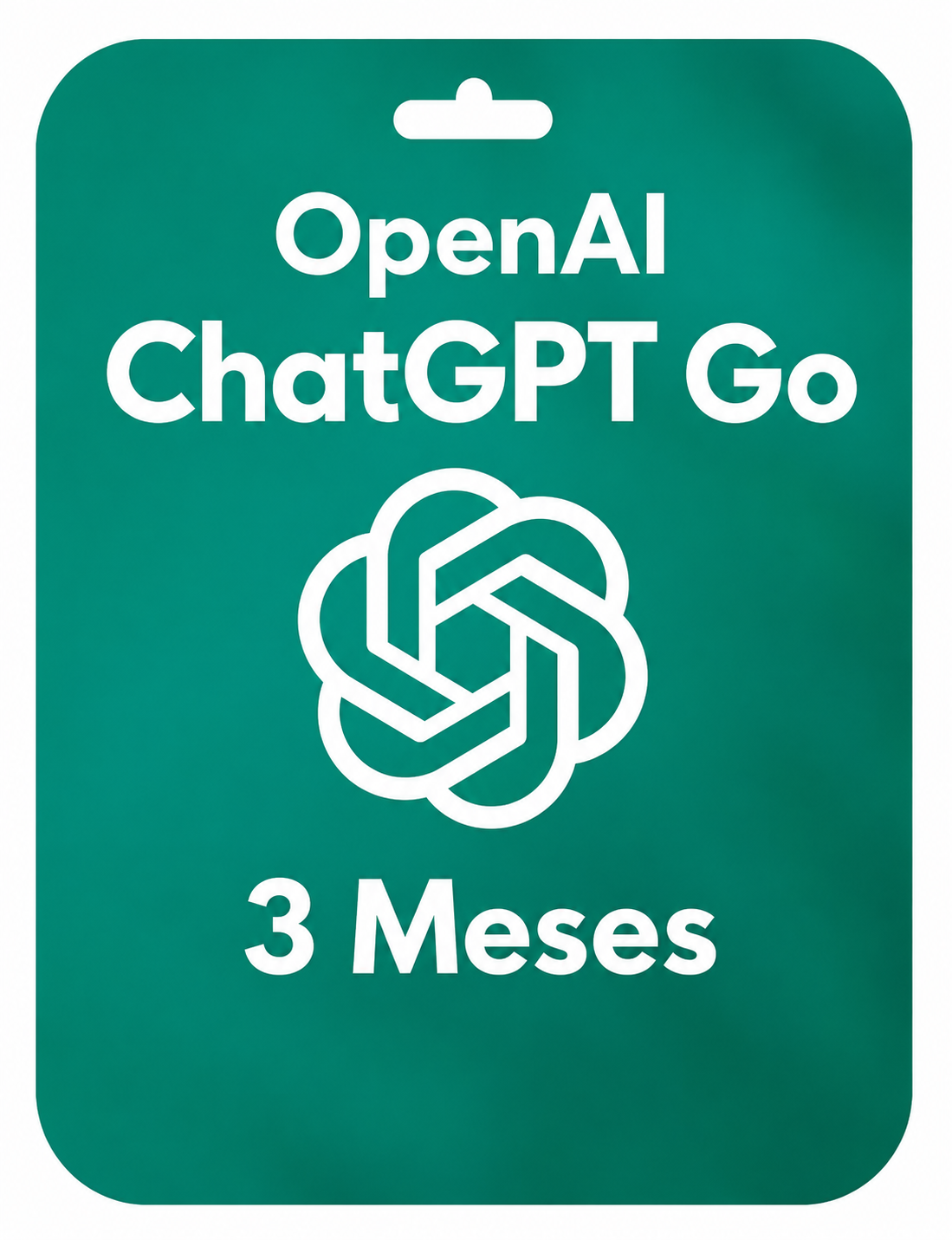 Chatgpt Gpt Go X 3 Meses